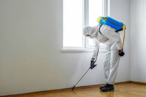 Pest Prevention Services in Galena, IN