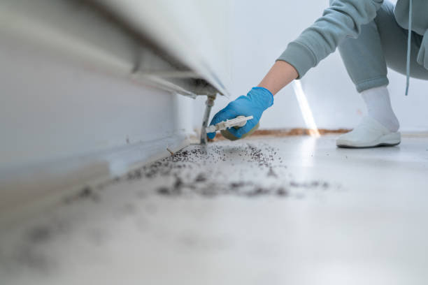 Best Cockroach Control Services  in Galena, IN
